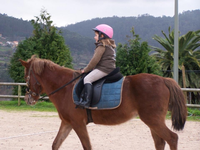  Horseback riding classes for children 